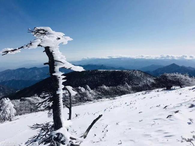 陌路风景什么意思