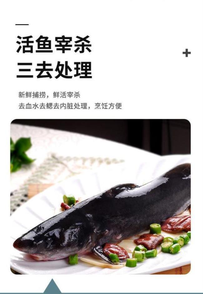 钳鱼与江团鱼的区别