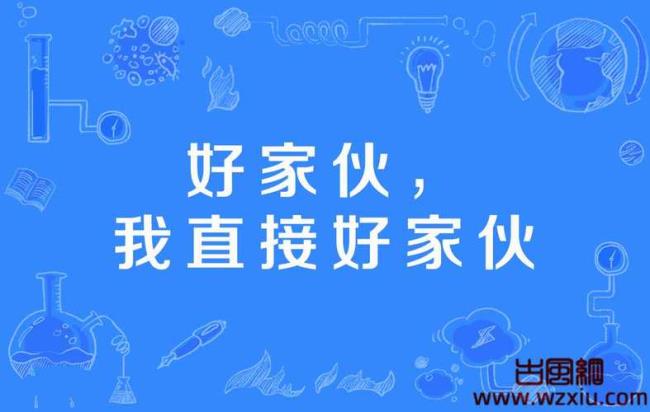 好家伙是哪的方言