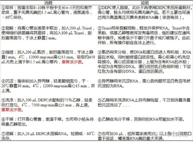 TAE和TBE电泳液怎么区分