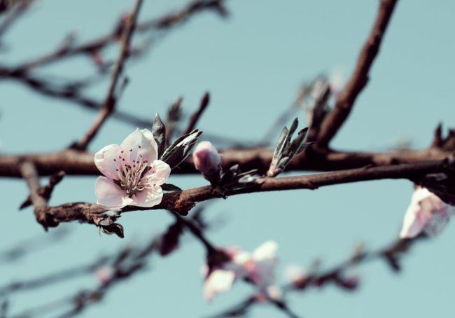 5月是什么样的爱情季节