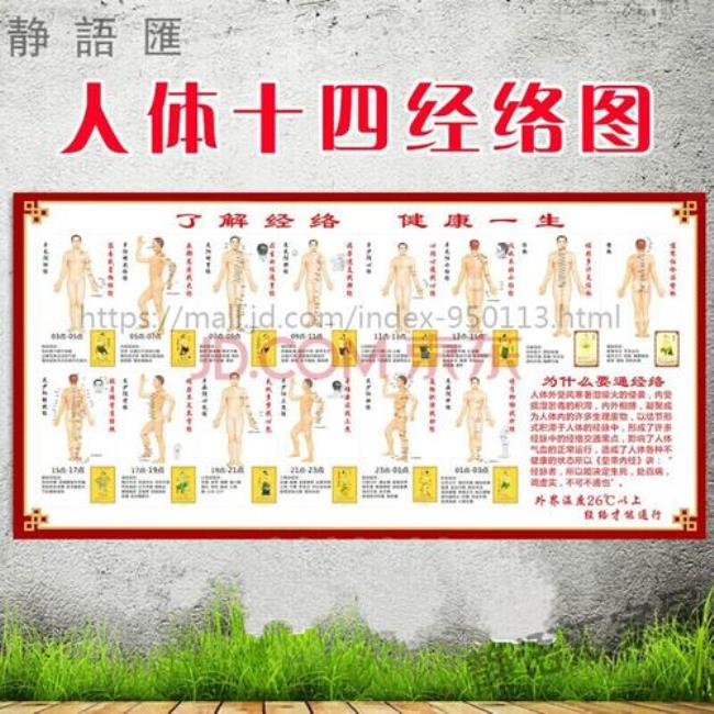 人体十二经络运行时刻