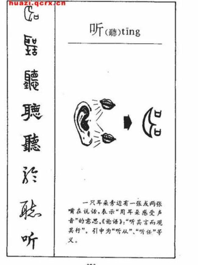 ting的笔顺