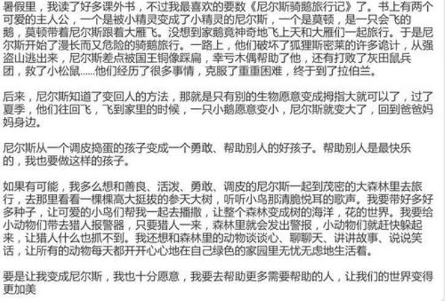 小精灵和太太读后感