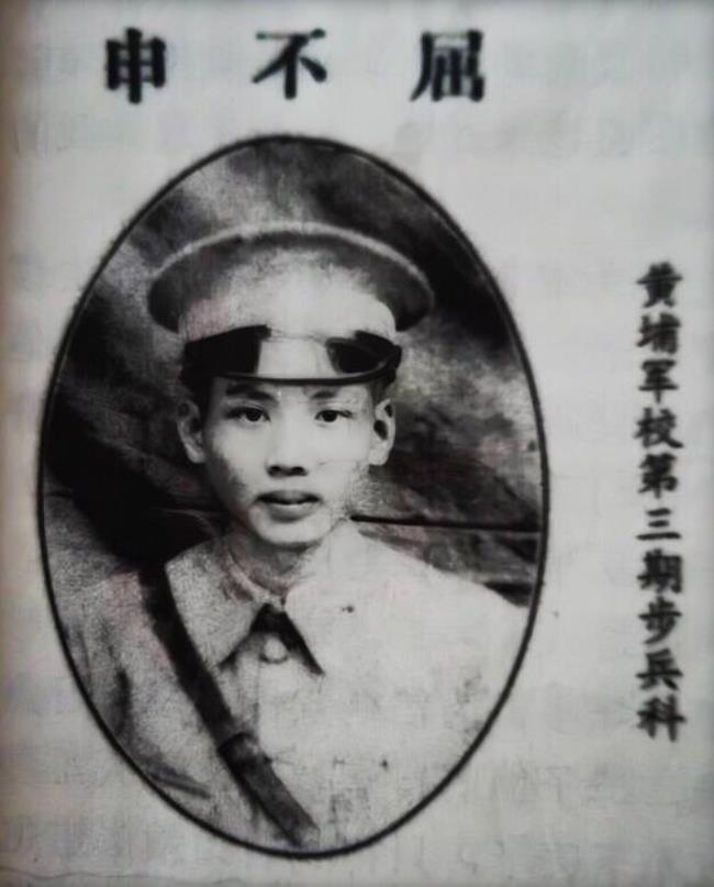 马的亲戚有哪些