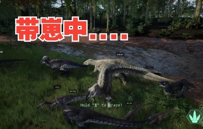 恐龙岛服主什么意思