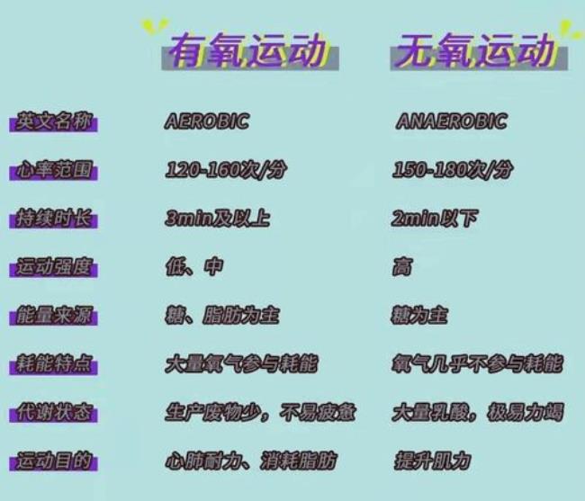 什么是有氧耐力运动