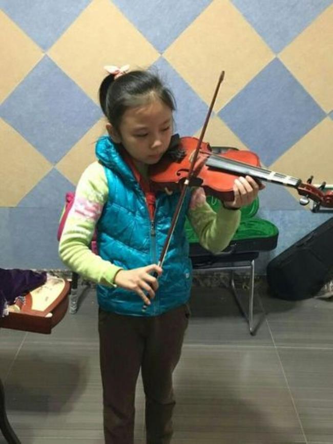 自学小提琴成功率高吗