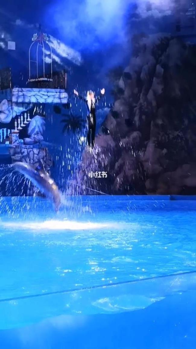 昆明融创海世界游玩顺序