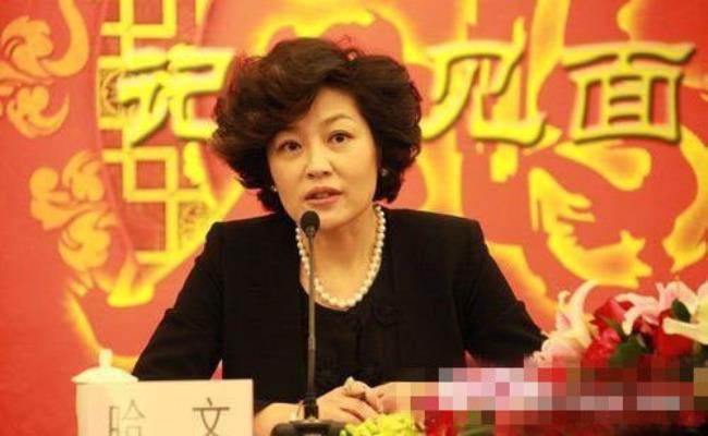 朱军和哈文什么关系