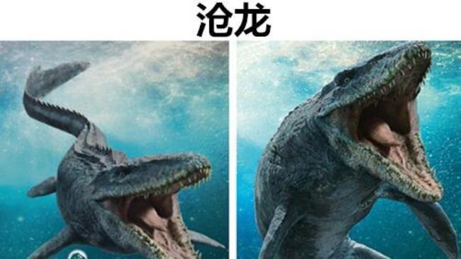 白垩纪海洋巨无霸主要讲了什么