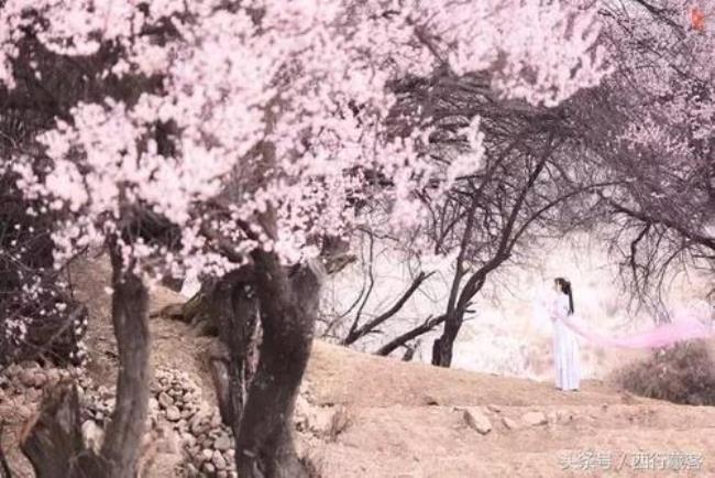 三生三世十里桃花里好听的地名