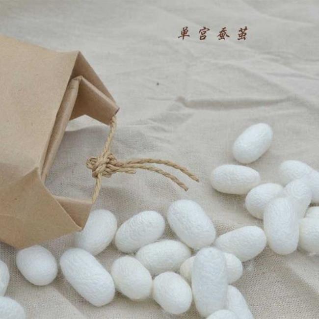 蚕茧人工怎样抽丝