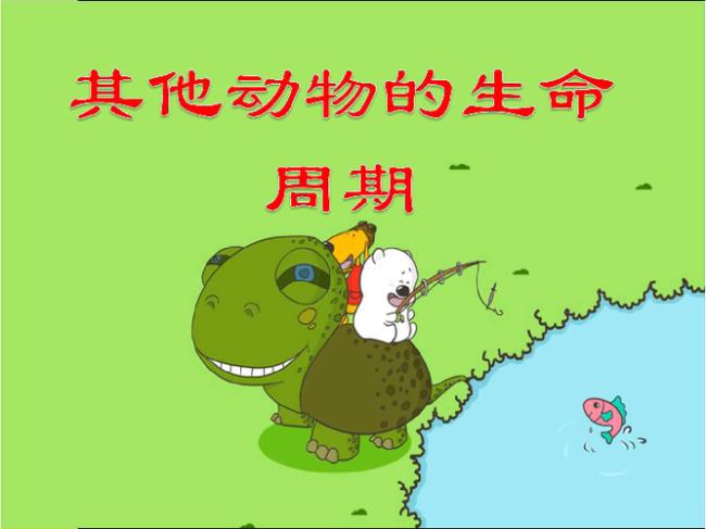 动物的自然繁育方法及注意事项