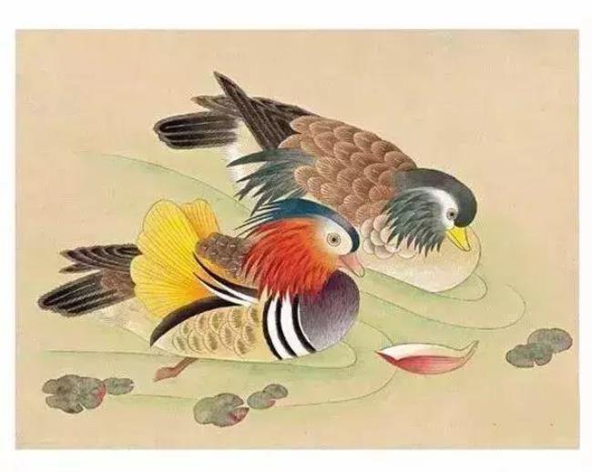 鸳鸯多少笔画