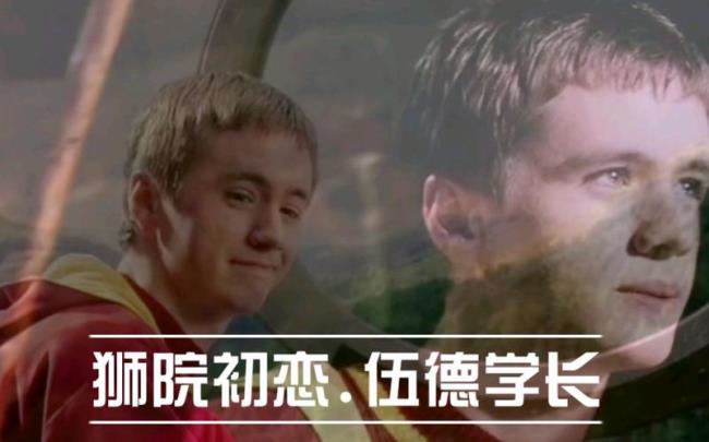 哈利波特伍德什么时候出场