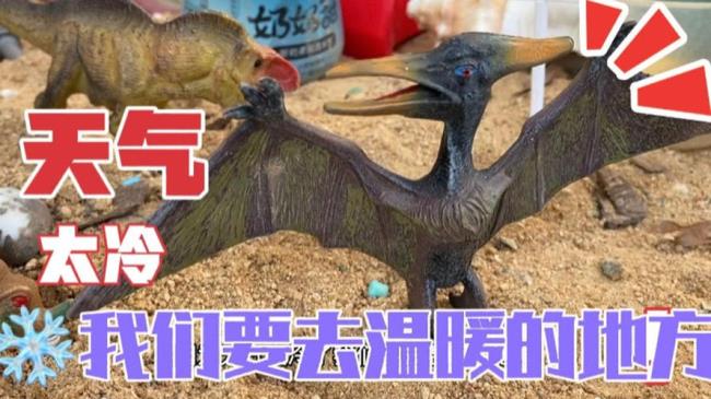 三角龙怎么养殖