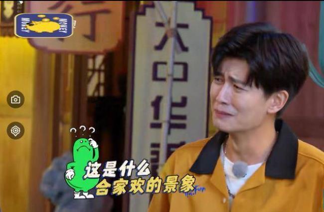 嗨放派最新一期怎么没有任嘉伦