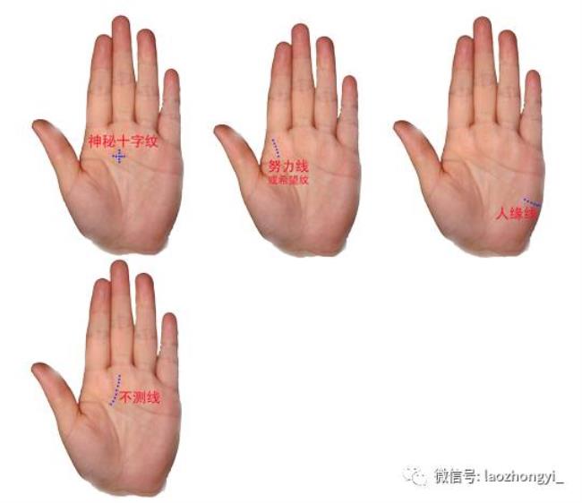 男左女右是从哪个方向看的