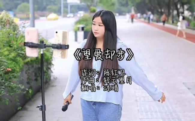 望爱却步感言