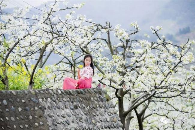 如春水映梨花是什么意思