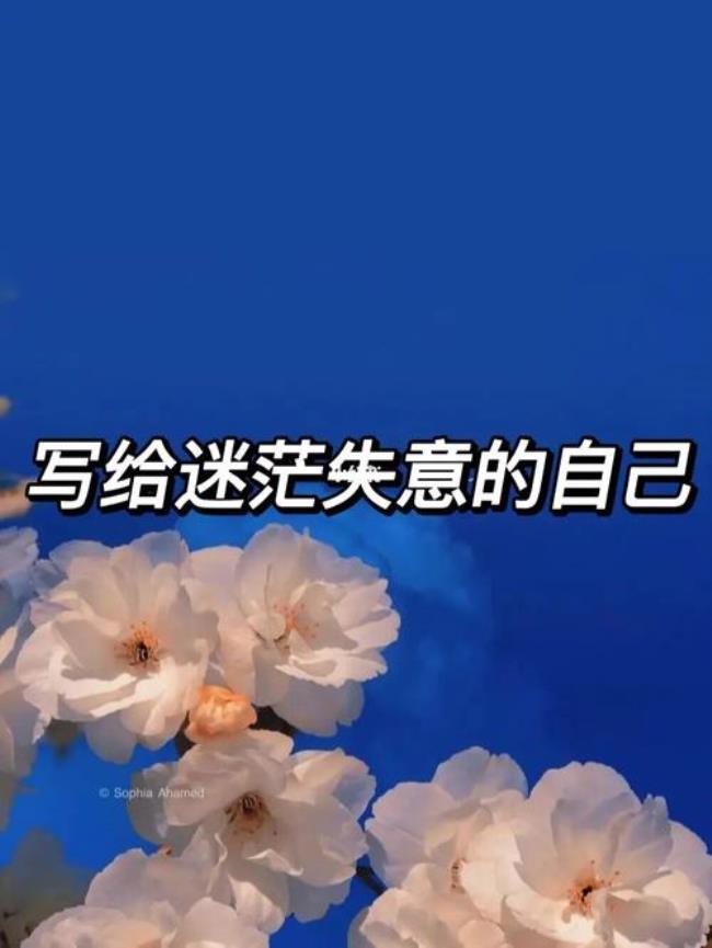 未来太远过去太迟什么意思
