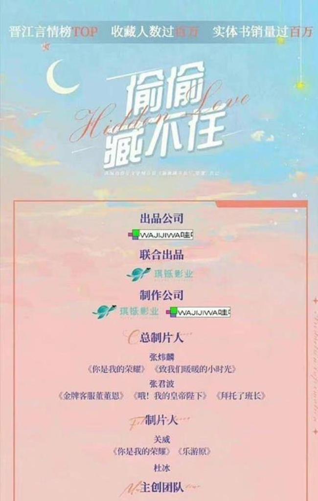 偷偷藏不住电视版谁演的
