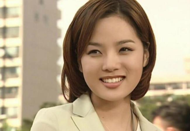 蔡琳演的韩剧