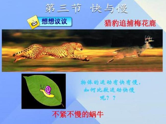 八慢一快什么意思
