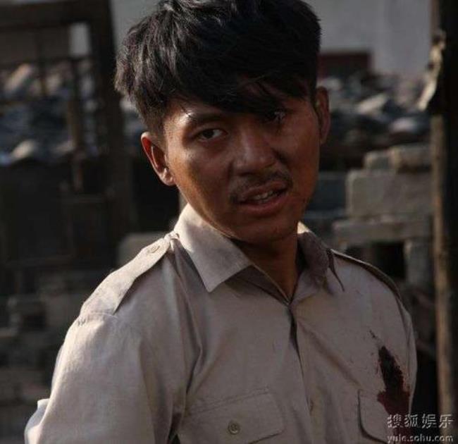 龙文章主演的电视连续剧
