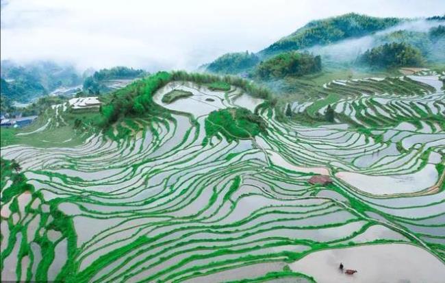 丽水市属于山区还是平原