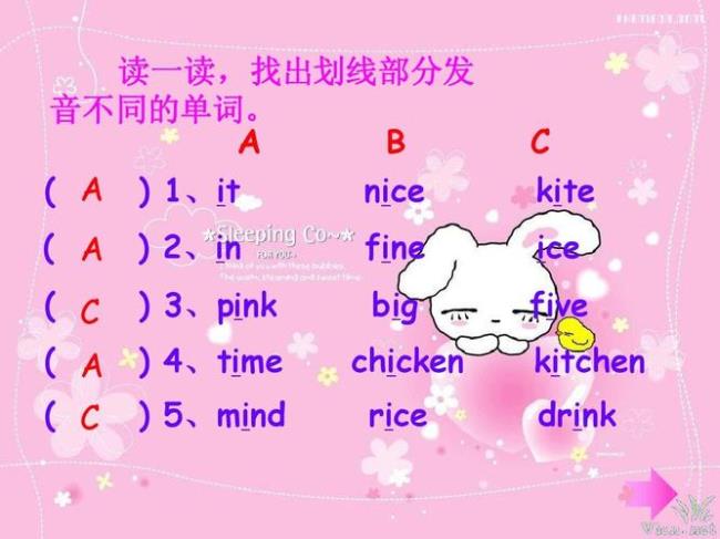 rice的复数形式是什么