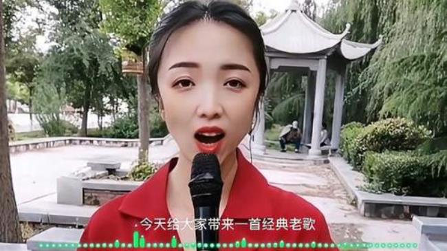 端起这一段情杯酒一原唱