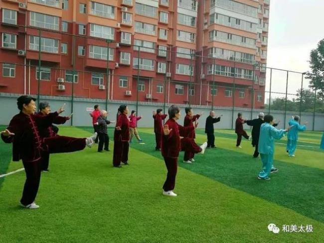 杨军67式太极剑背向