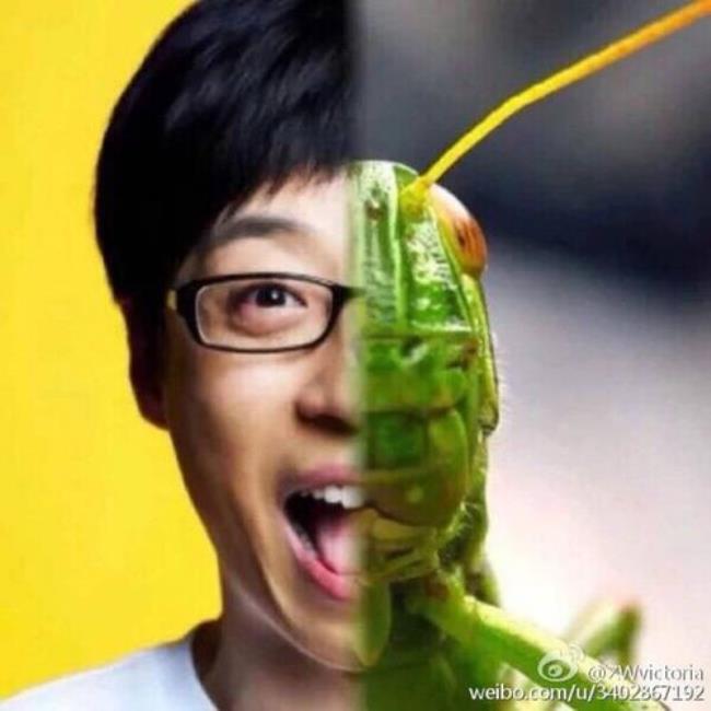 runningman刘在石