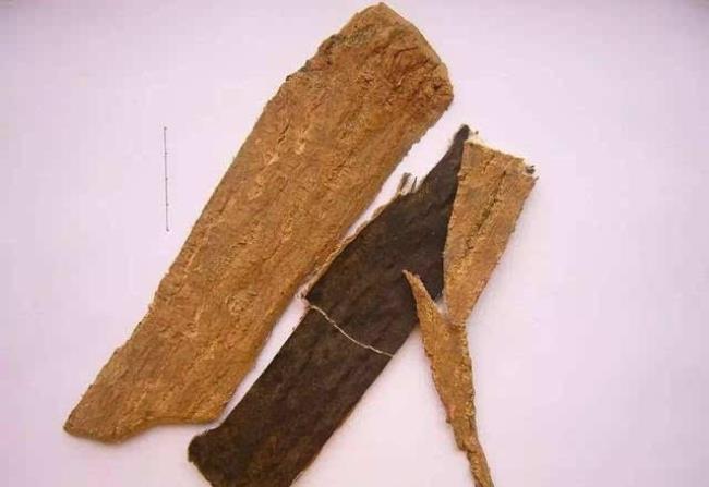 历史上的杜仲御医是谁