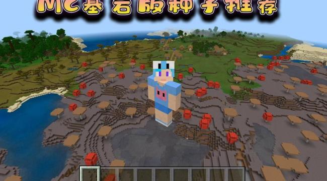 mc基岩版怎么看自己的状态