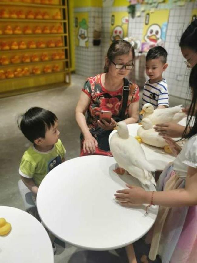 可以经常摸小鸭子吗