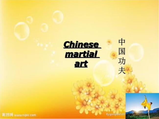 功夫英语怎么说
