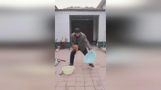 神奇小猫魔术的原理