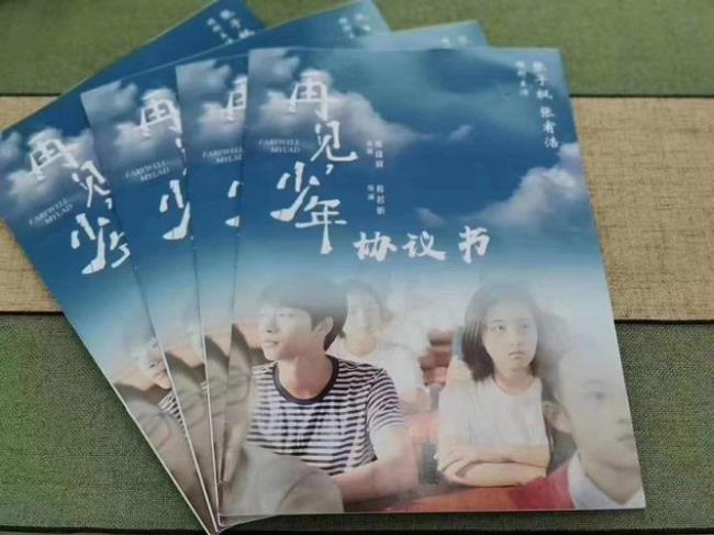 再见少年黎菲为什么坐牢