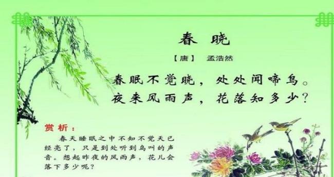 柳黄草绿浅春天是哪首诗