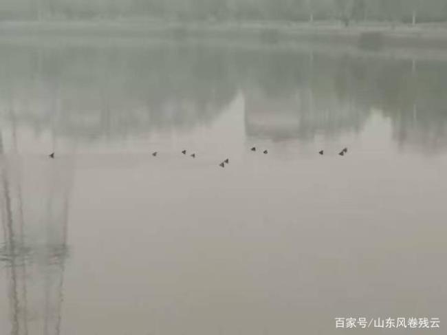 一江秋水什么意思