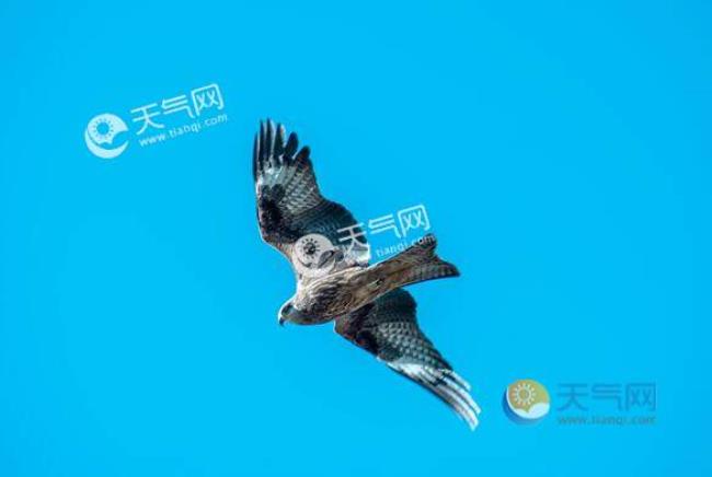 三时两节什么节