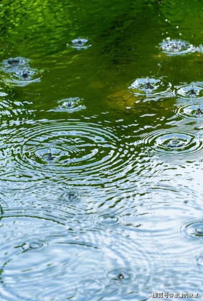 夏天下雨的撩人的诗