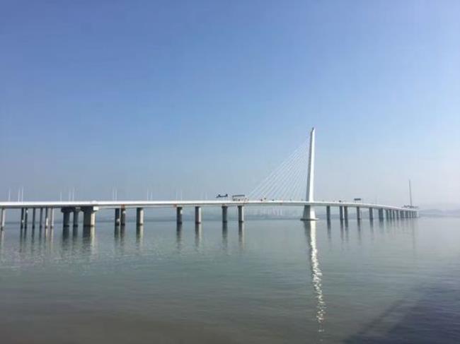 深圳湾大桥和港珠澳大桥区别