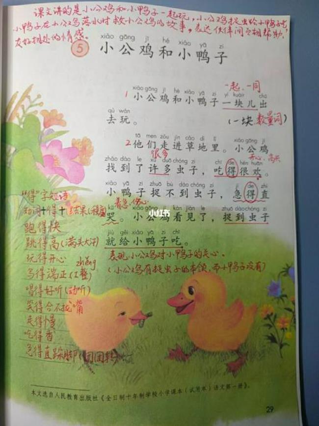 一年级仿写小鸭子怎么的游泳