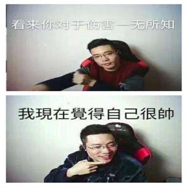 大司马的成名英雄是谁