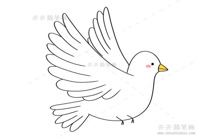和平鸽的简笔画