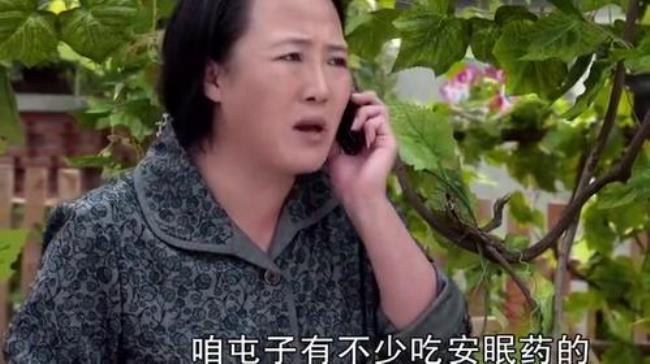 乡村爱情2刘英怀孕乌龙